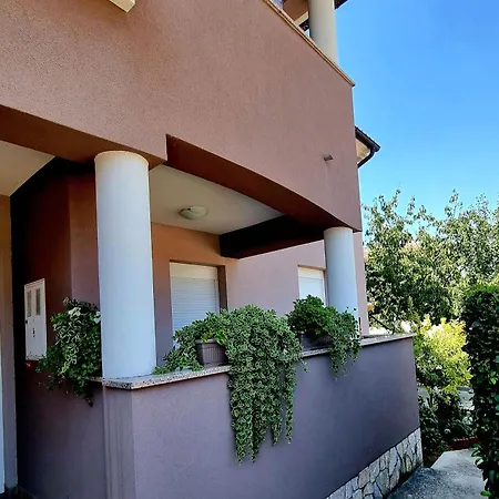Ema Pola